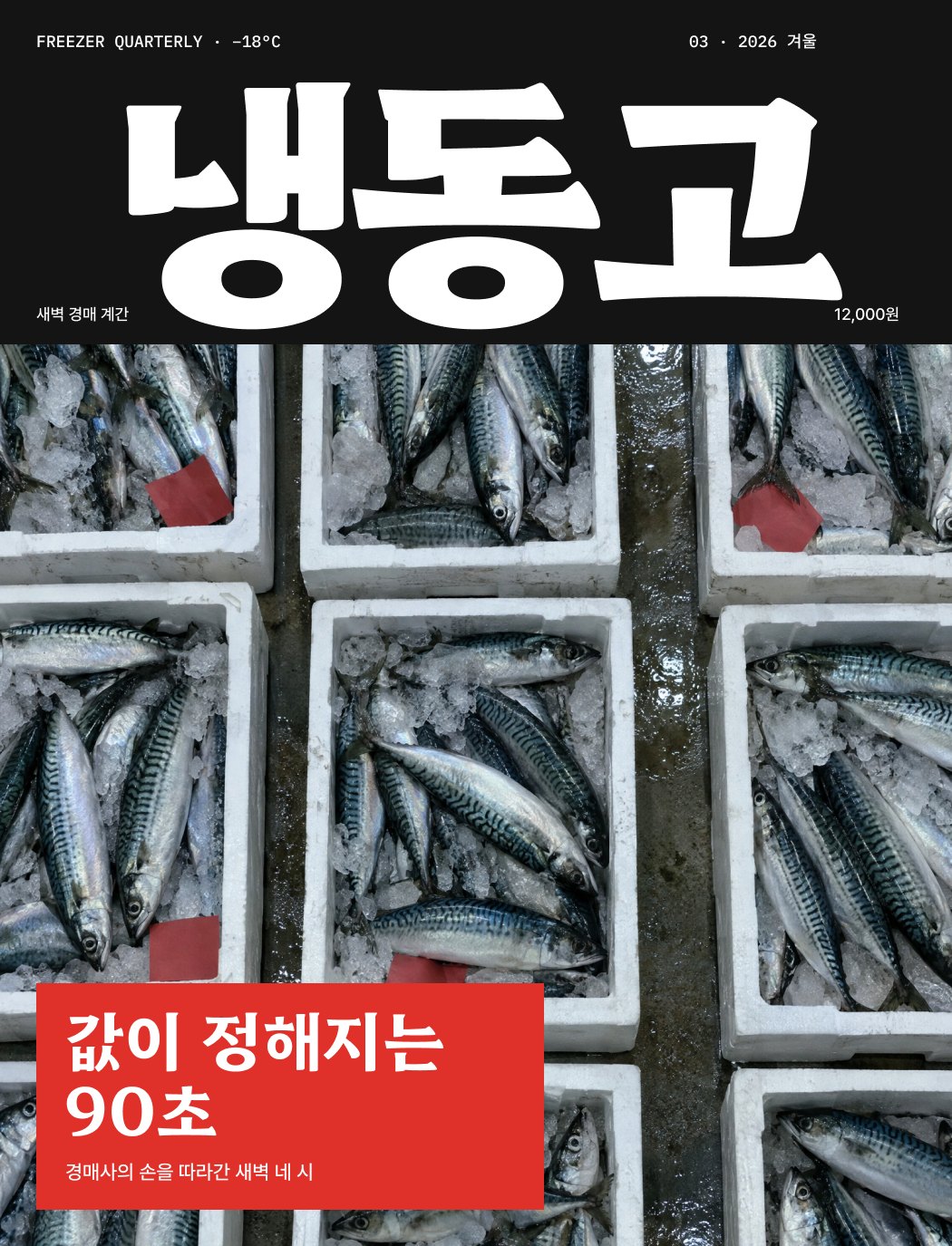 큰 한글 제호 냉동고 아래 위에서 내려다본 고등어 상자 격자와 값이 정해지는 90초
